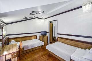 Отель VICTOR Hotel Resort & SPA Трускавец Двухместный номер с 2 отдельными кроватями-3